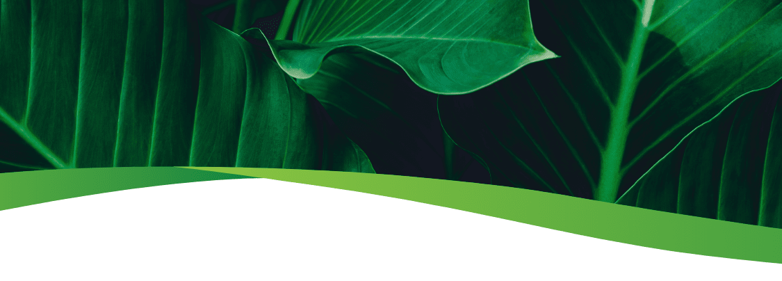 Green leaf mobile